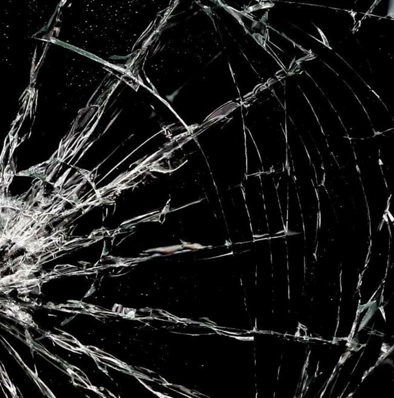 Meet your Posher, Craig - Picture 1 of 1